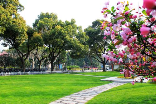 成考教育学专业的简单介绍