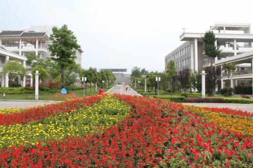 长春成人高考专科报名地址