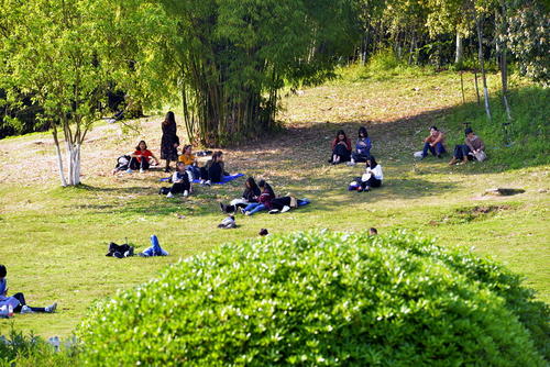 长春函授本科报名条件